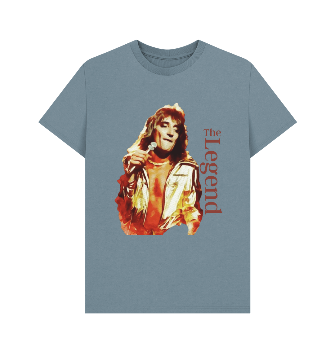 Stone Blue Printed T-shirt