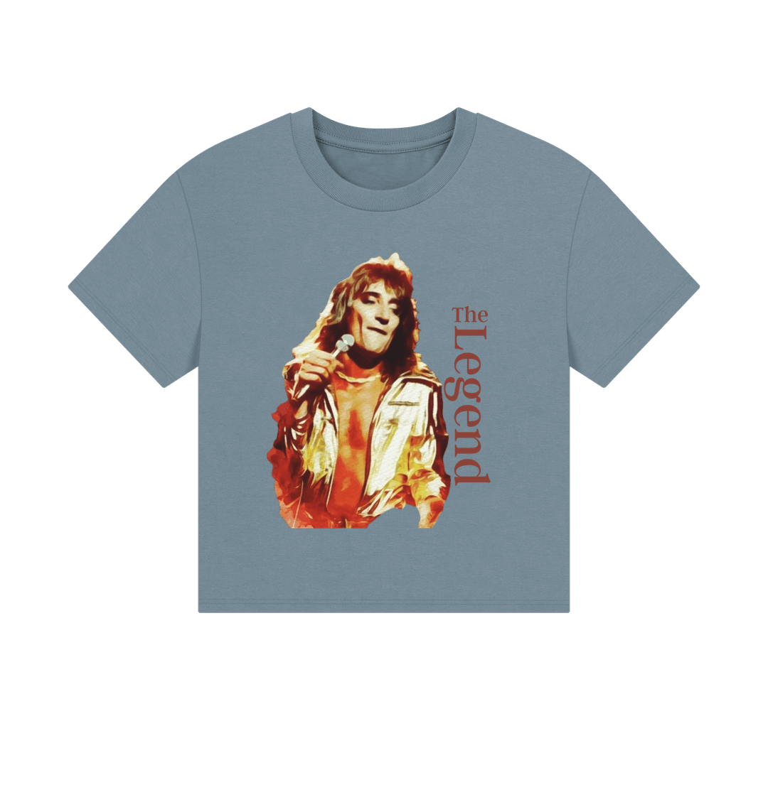 Stone Blue Printed T-shirt