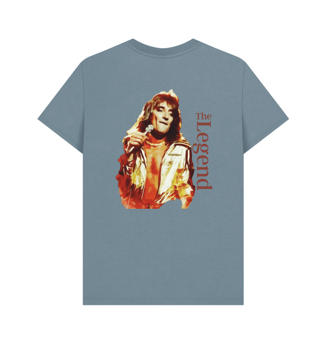 Stone Blue Printed T-shirt