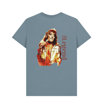 Stone Blue Printed T-shirt